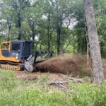 Why Underbrush Removal Is Necessary